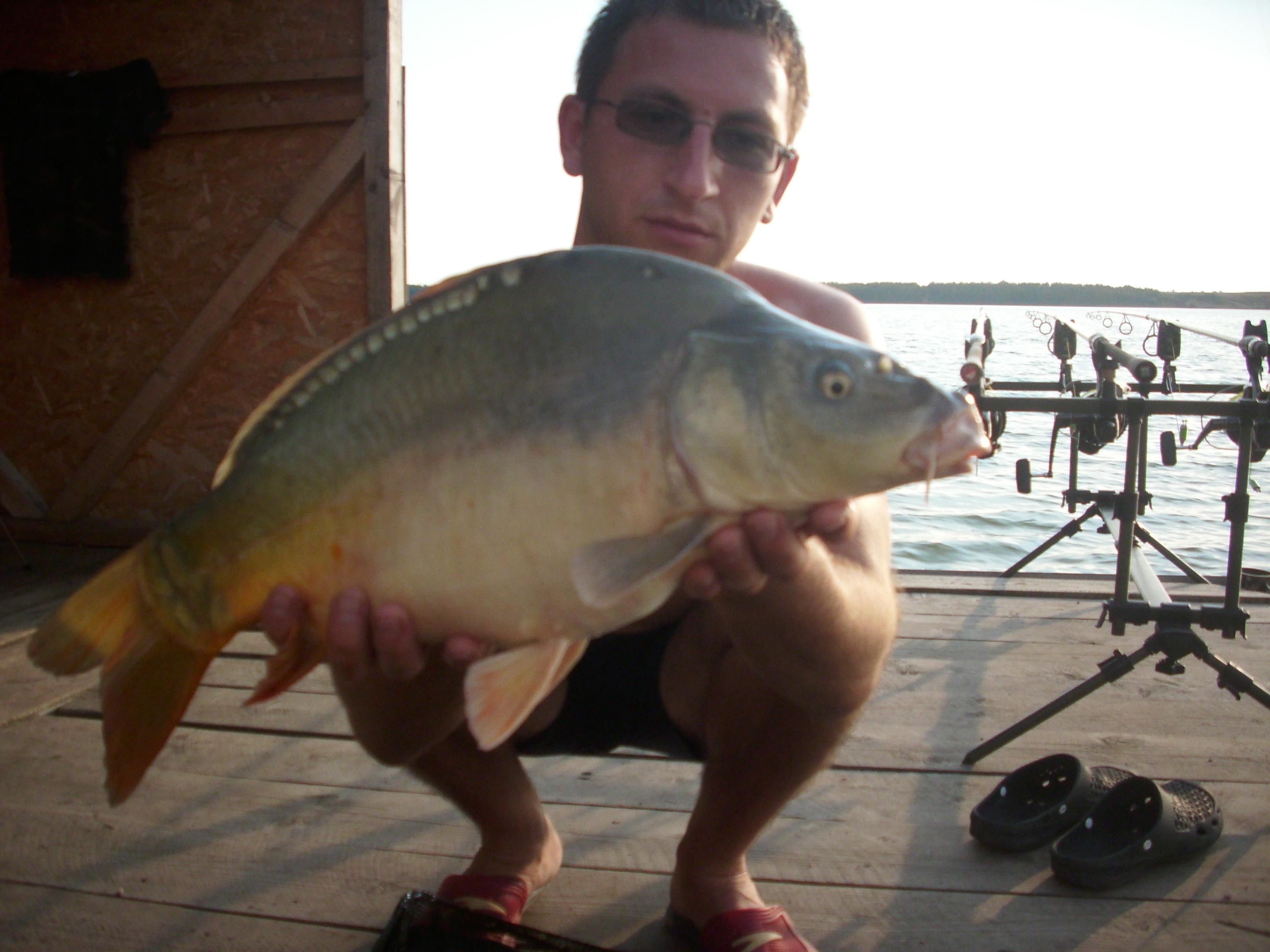 poze bunget  - IMG_0188.JPG